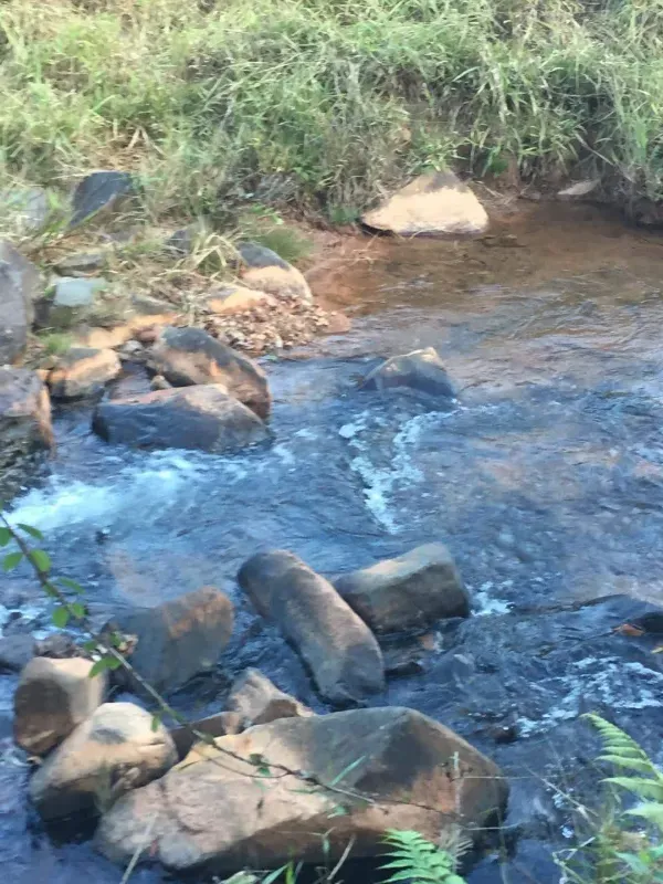 Fazenda em Manga/Minas Gerais — Ref PQ2XUB — Imagem 21