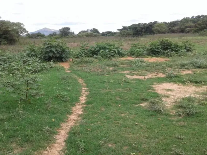 Fazenda em Manga/Minas Gerais — Ref PQ2XUB — Imagem 2