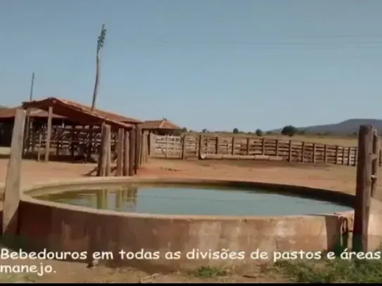 Fazenda em Manga/Minas Gerais — Ref PQ2XUB — Imagem 14