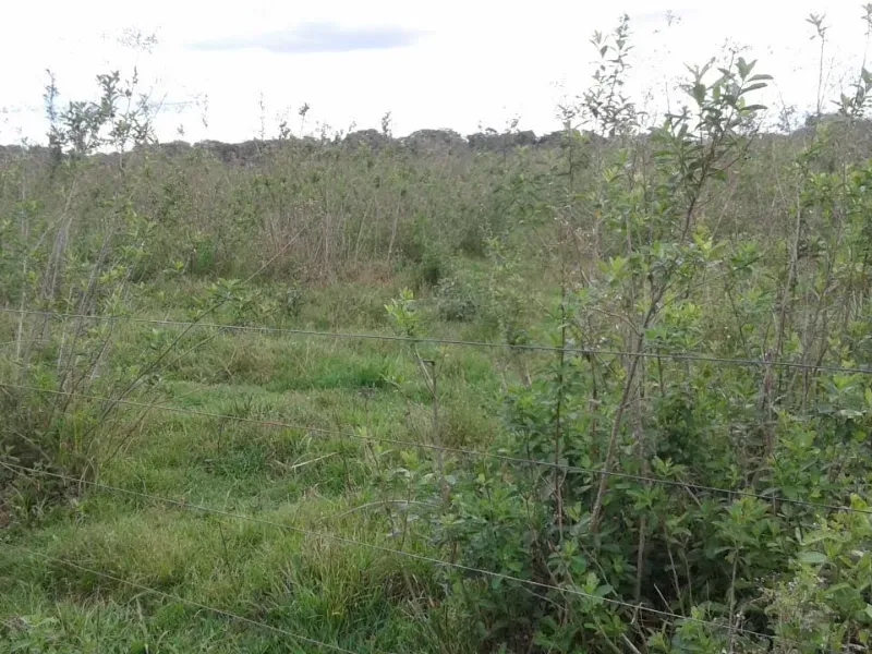 Fazenda em Manga/Minas Gerais — Ref PQ2XUB — Imagem 6