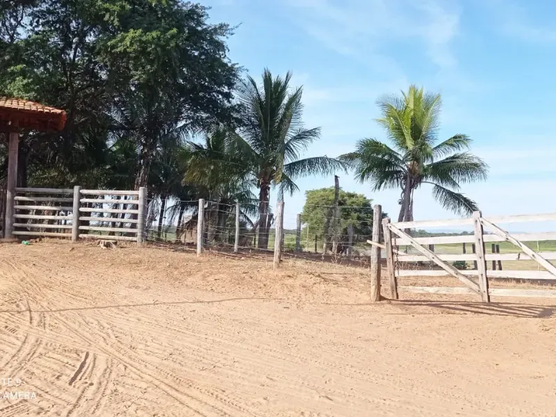 Fazenda em Manga/Minas Gerais — Ref RQWI2Z — Imagem 5