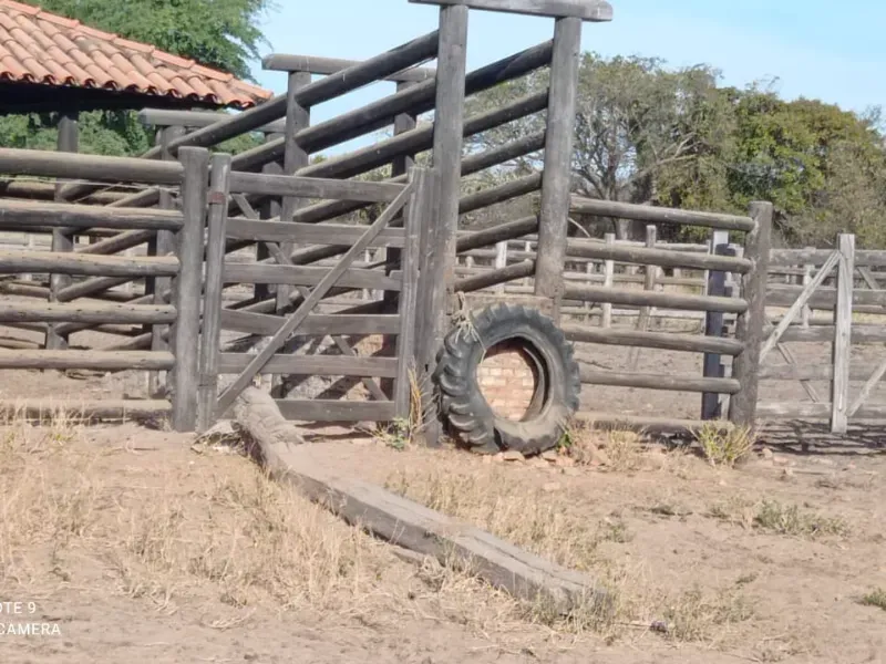 Fazenda em Manga/Minas Gerais — Ref RQWI2Z — Imagem 4