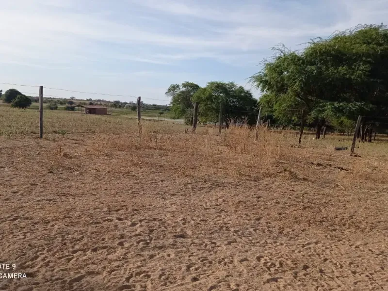 Fazenda em Manga/Minas Gerais — Ref RQWI2Z — Imagem 3