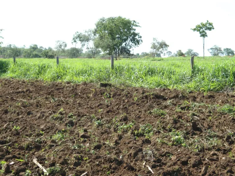 Fazenda em Joaquim Felício/Minas Gerais — Ref WPESEH — Imagem 9