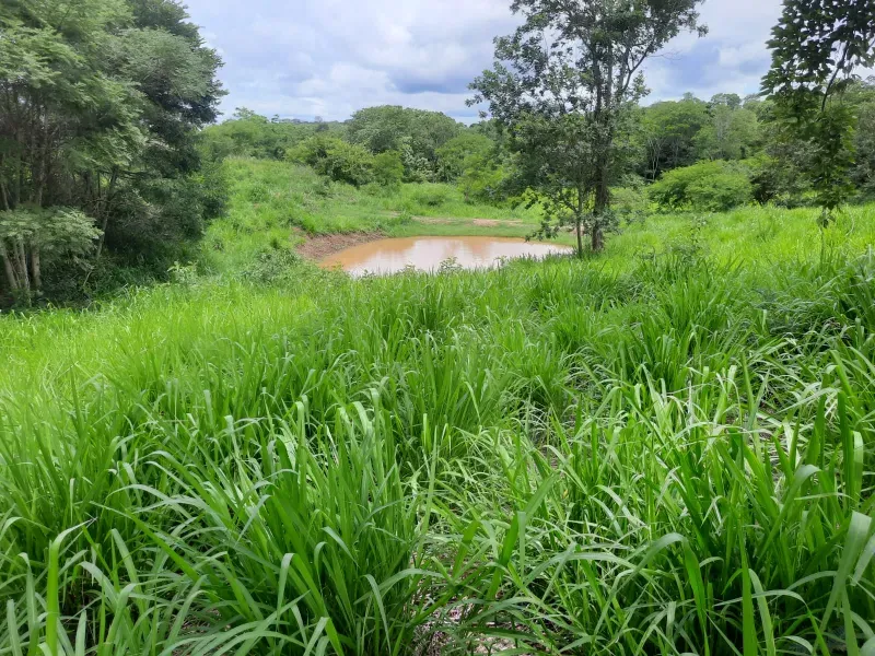 Fazenda em Joaquim Felício/Minas Gerais — Ref WPESEH — Imagem 6