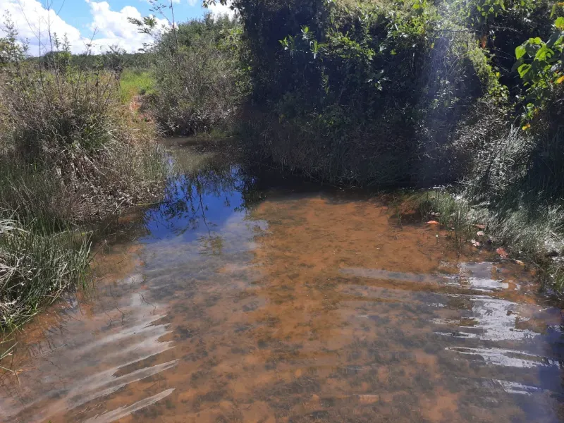 Fazenda em Joaquim Felício/Minas Gerais — Ref WPESEH — Imagem 8