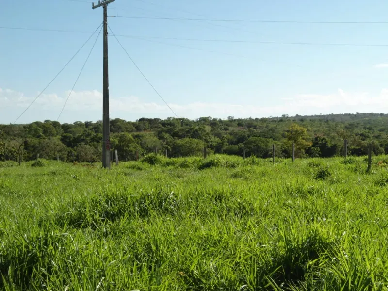Imóvel rural em Joaquim Felício/Minas Gerais — Ref WPESEH1