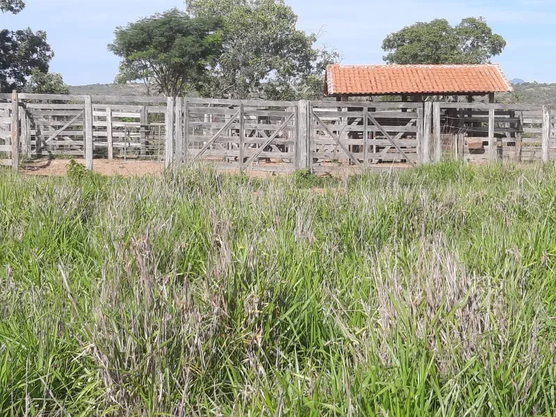 Fazenda em Joaquim Felício/Minas Gerais — Ref WPESEH — Imagem 4