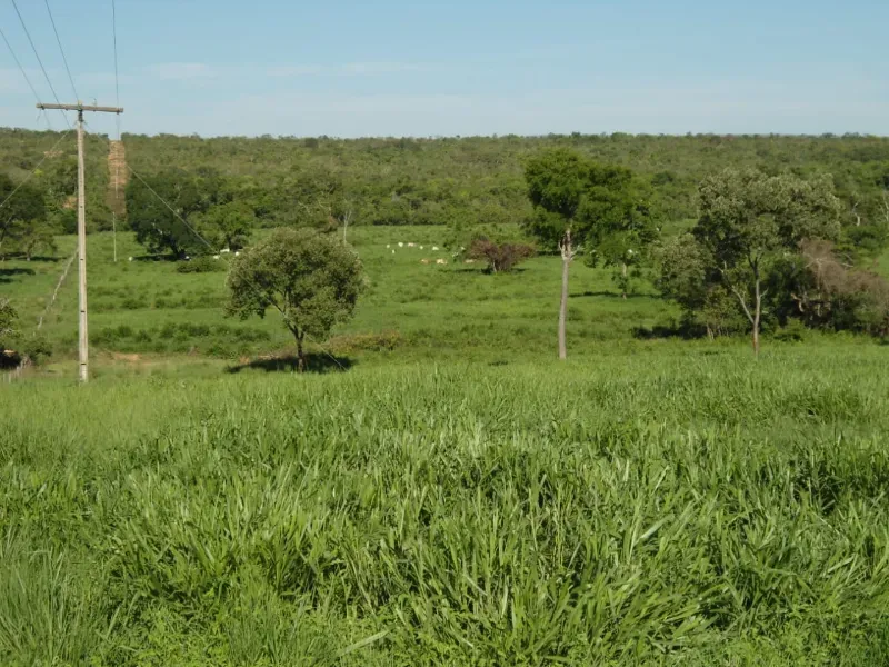 Fazenda em Joaquim Felício/Minas Gerais — Ref WPESEH — Imagem 2
