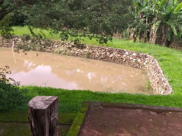 Fazenda em Itaúna/Minas Gerais — Ref A2UPWZ — Imagem 21