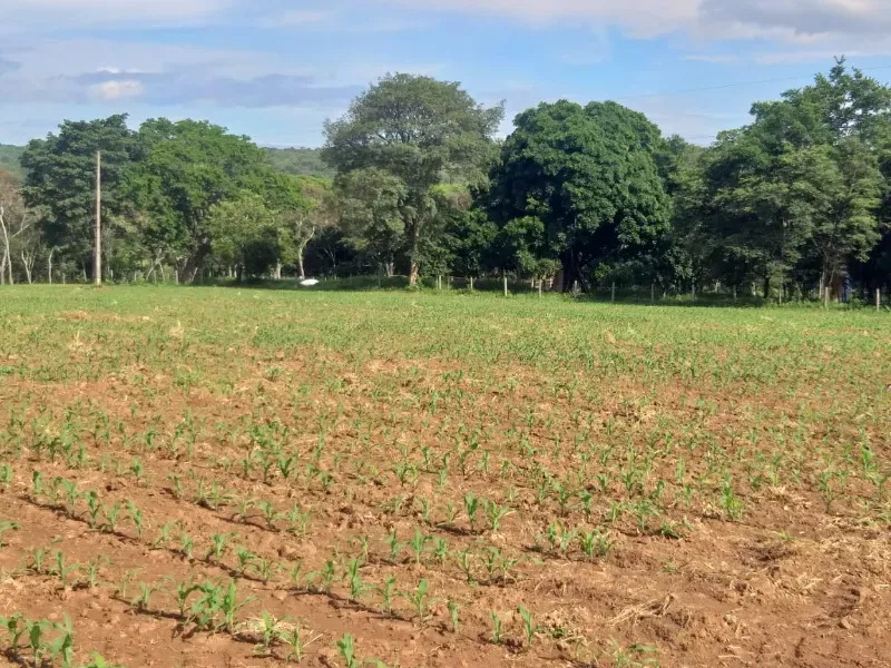Fazenda em Itaúna/Minas Gerais — Ref A2UPWZ — Imagem 10