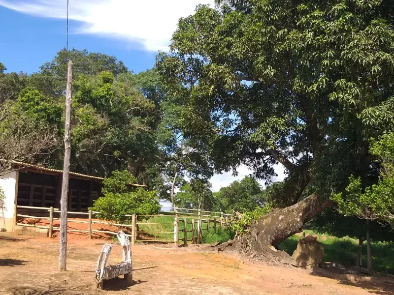 Fazenda em Itaúna/Minas Gerais — Ref A2UPWZ — Imagem 22
