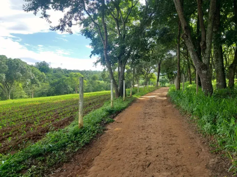 Fazenda em Itaúna/Minas Gerais — Ref A2UPWZ — Imagem 9