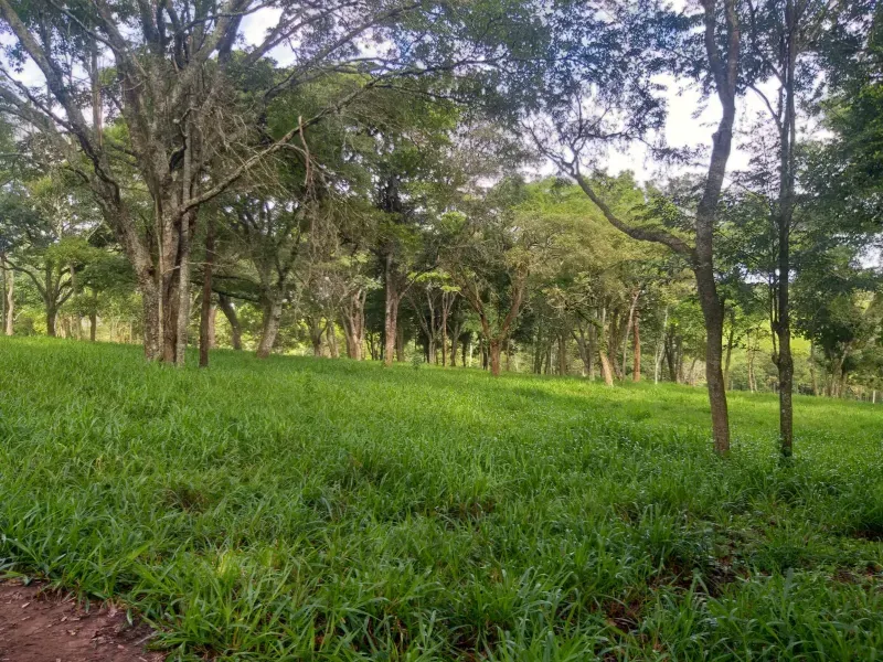 Fazenda em Itaúna/Minas Gerais — Ref A2UPWZ — Imagem 29