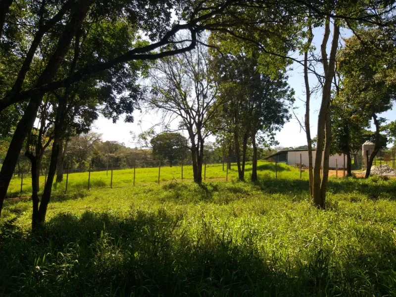 Fazenda em Itaúna/Minas Gerais — Ref A2UPWZ — Imagem 15