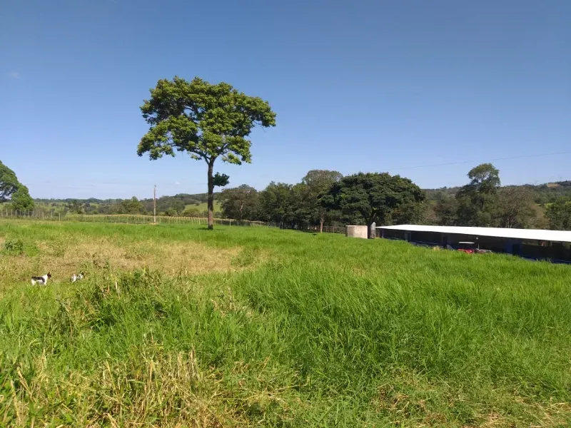 Fazenda em Itaúna/Minas Gerais — Ref A2UPWZ — Imagem 5