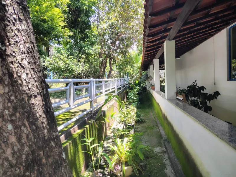 Fazenda em Esmeraldas/Minas Gerais — Ref H1JZ14 — Imagem 11