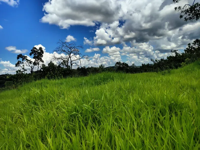 Fazenda em Esmeraldas/Minas Gerais — Ref H1JZ14 — Imagem 20