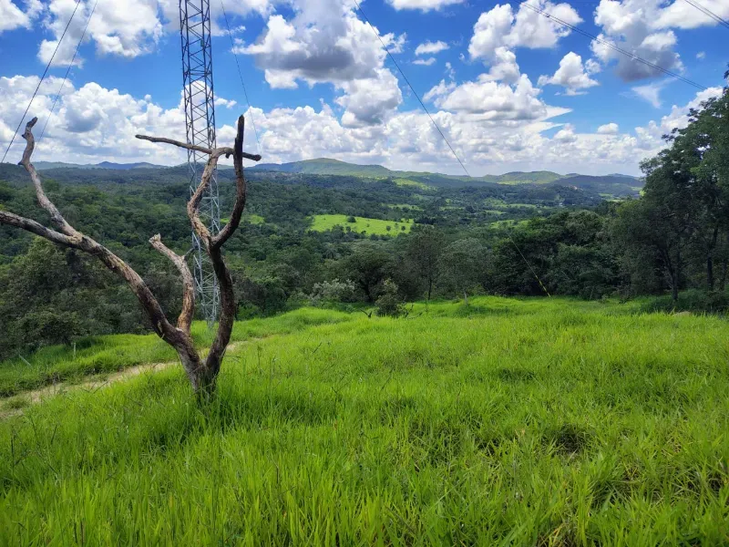Fazenda em Esmeraldas/Minas Gerais — Ref H1JZ14 — Imagem 21