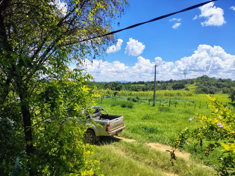 Fazenda em Esmeraldas/Minas Gerais — Ref H1JZ14 — Imagem 18