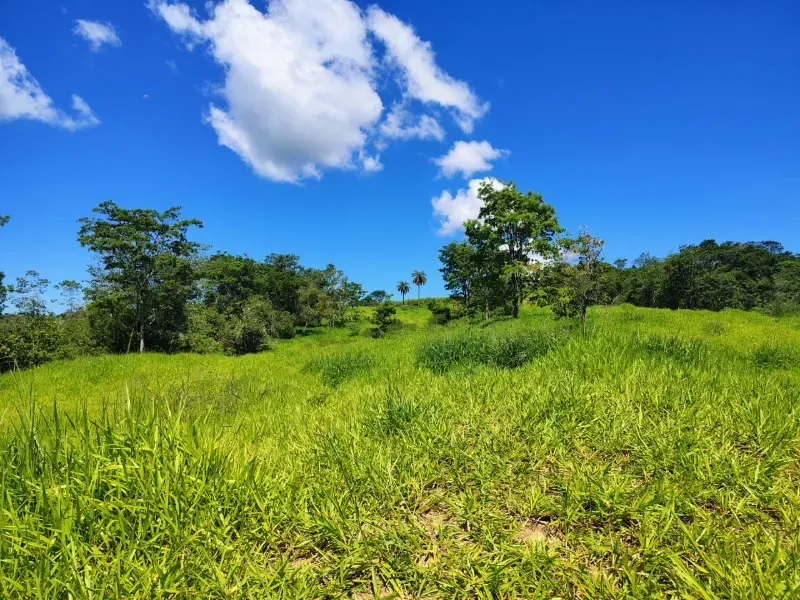 Fazenda em Esmeraldas/Minas Gerais — Ref H1JZ14 — Imagem 23