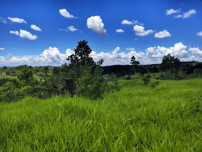 Fazenda em Esmeraldas/Minas Gerais — Ref H1JZ14 — Imagem 24