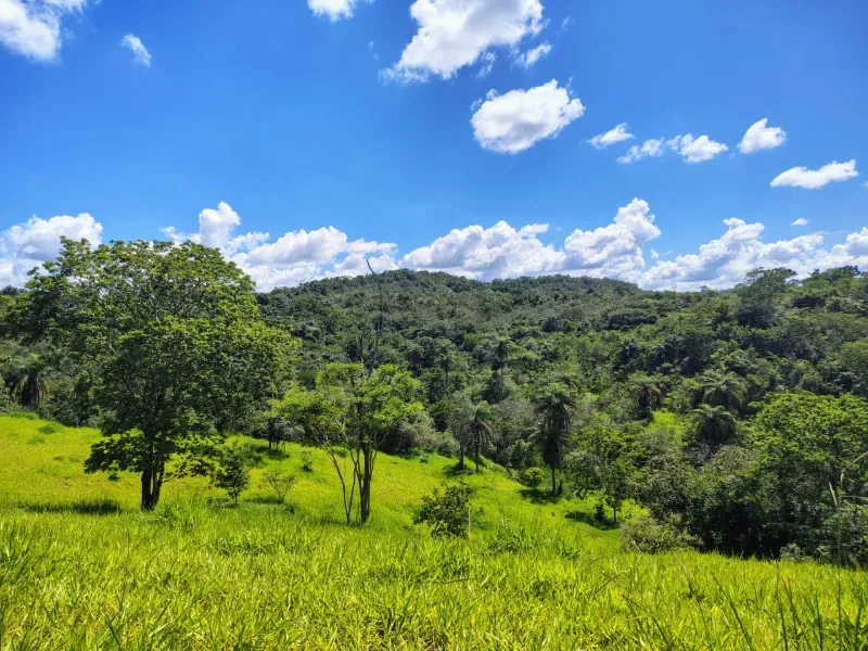 Fazenda em Esmeraldas/Minas Gerais — Ref H1JZ14 — Imagem 2