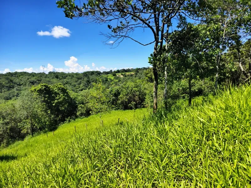 Fazenda em Esmeraldas/Minas Gerais — Ref H1JZ14 — Imagem 26