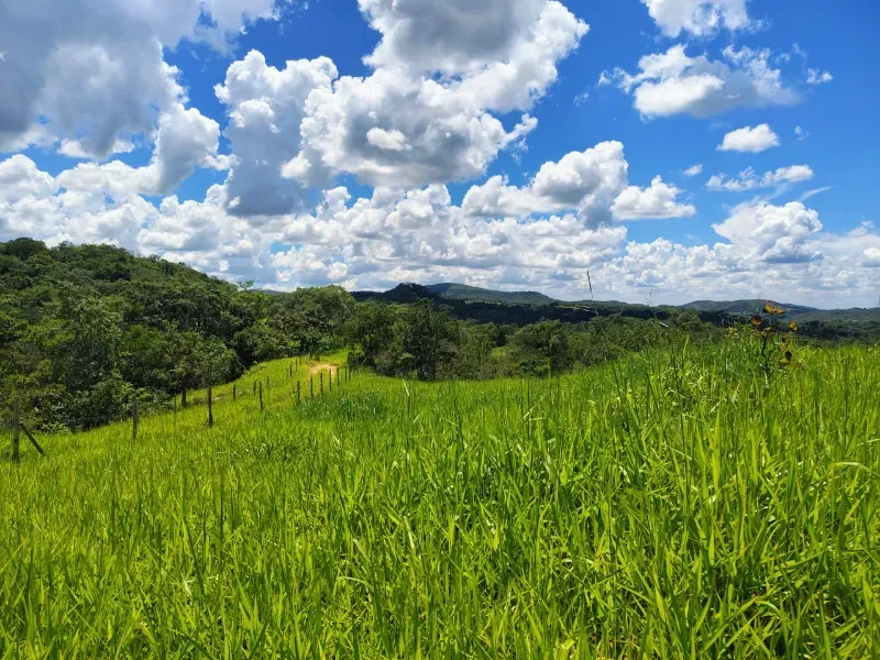 Fazenda em Esmeraldas/Minas Gerais — Ref H1JZ14 — Imagem 27