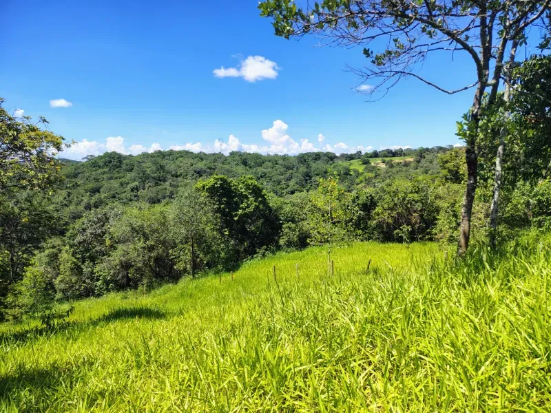 Fazenda em Esmeraldas/Minas Gerais — Ref H1JZ14 — Imagem 29