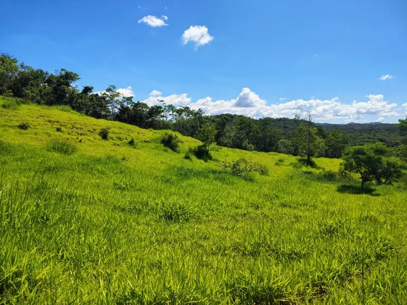 Fazenda em Esmeraldas/Minas Gerais — Ref H1JZ14 — Imagem 30