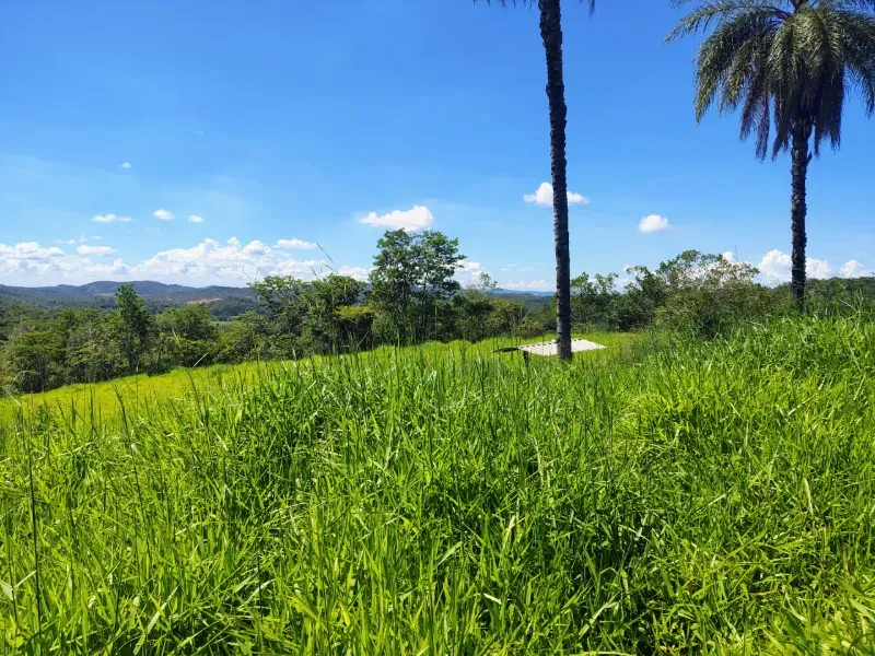 Fazenda em Esmeraldas/Minas Gerais — Ref H1JZ14 — Imagem 31