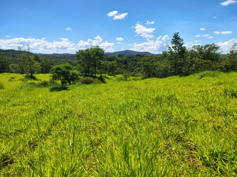 Fazenda em Esmeraldas/Minas Gerais — Ref H1JZ14 — Imagem 32