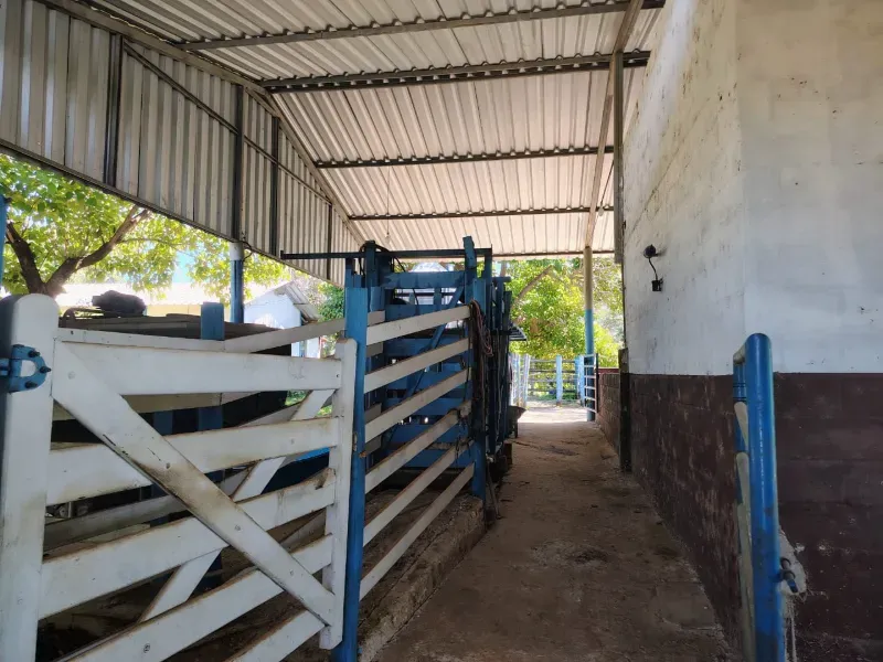 Fazenda em Esmeraldas/Minas Gerais — Ref H1JZ14 — Imagem 5