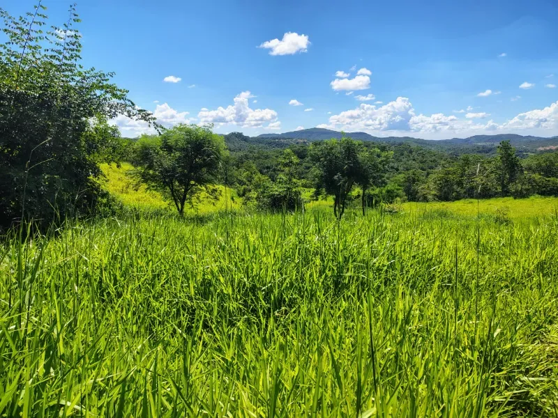 Fazenda em Esmeraldas/Minas Gerais — Ref H1JZ14 — Imagem 33
