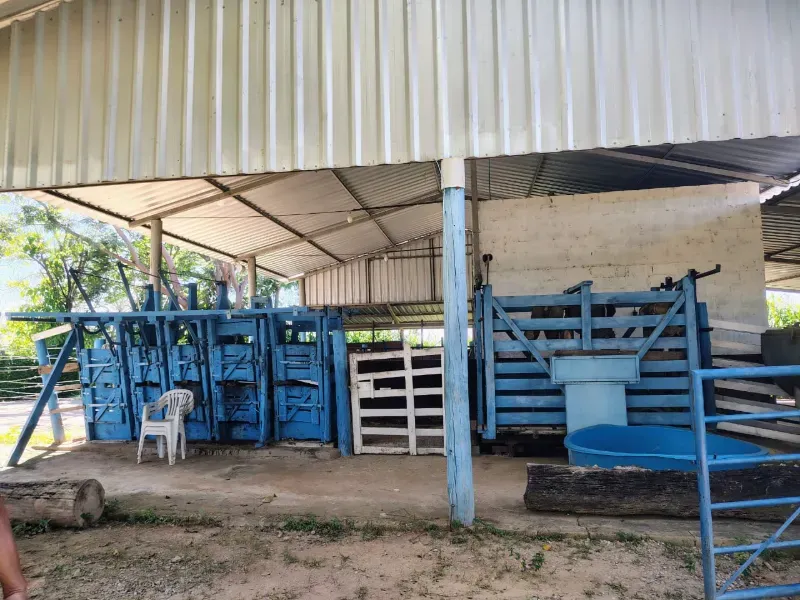 Fazenda em Esmeraldas/Minas Gerais — Ref H1JZ14 — Imagem 4