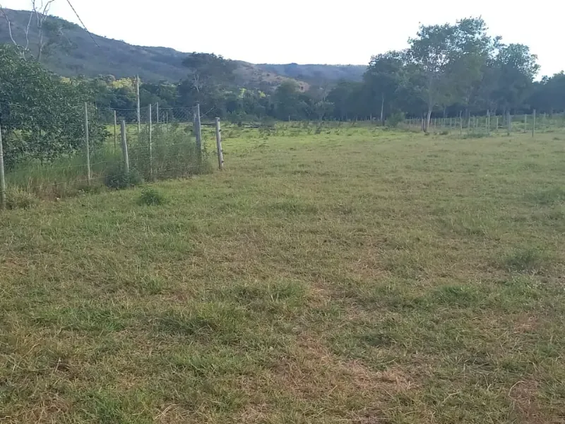 Fazenda em Bocaiúva/Minas Gerais — Ref S4IT06 — Imagem 14