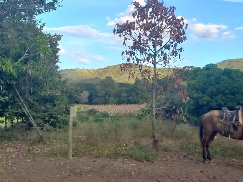 Fazenda em Bocaiúva/Minas Gerais — Ref S4IT06 — Imagem 12