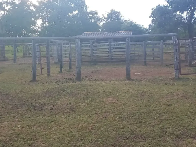 Fazenda em Bocaiúva/Minas Gerais — Ref S4IT06 — Imagem 9