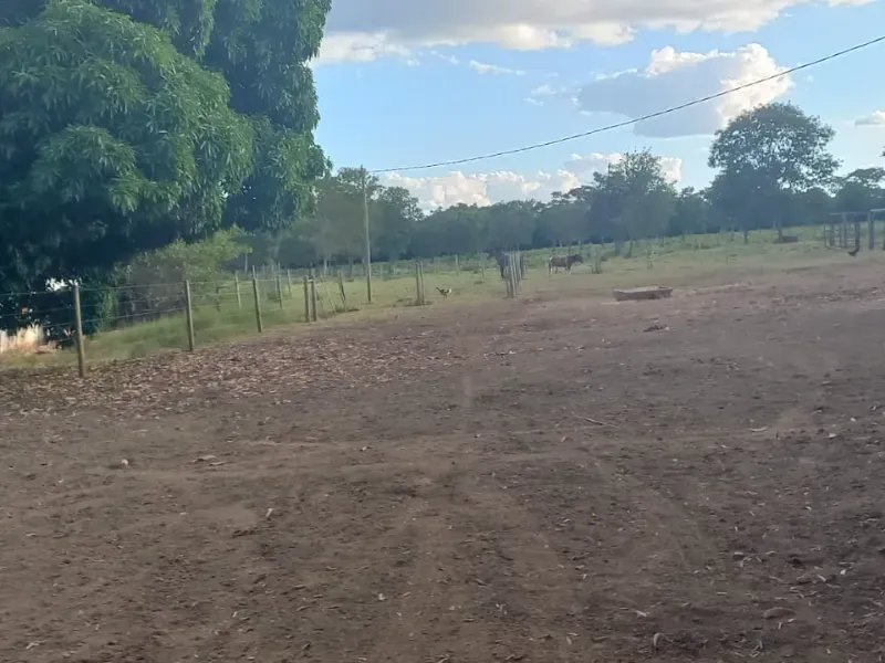 Fazenda em Bocaiúva/Minas Gerais — Ref S4IT06 — Imagem 15