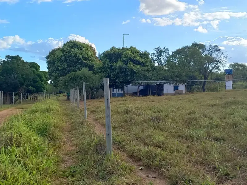 Fazenda em Bocaiúva/Minas Gerais — Ref S4IT06 — Imagem 5