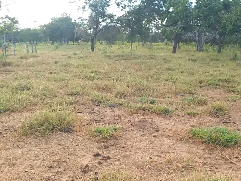 Fazenda em Bocaiúva/Minas Gerais — Ref S4IT06 — Imagem 16