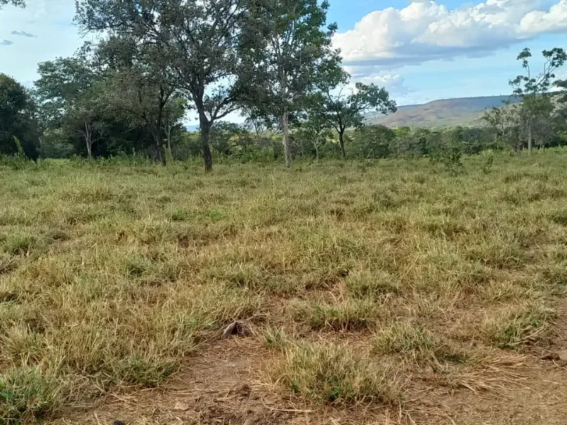 Fazenda em Bocaiúva/Minas Gerais — Ref S4IT06 — Imagem 17