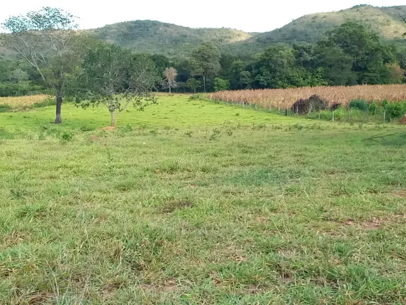Fazenda em Bocaiúva/Minas Gerais — Ref S4IT06 — Imagem 2