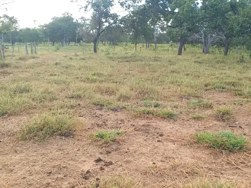 Fazenda em Bocaiúva/Minas Gerais — Ref S4IT06 — Imagem 13