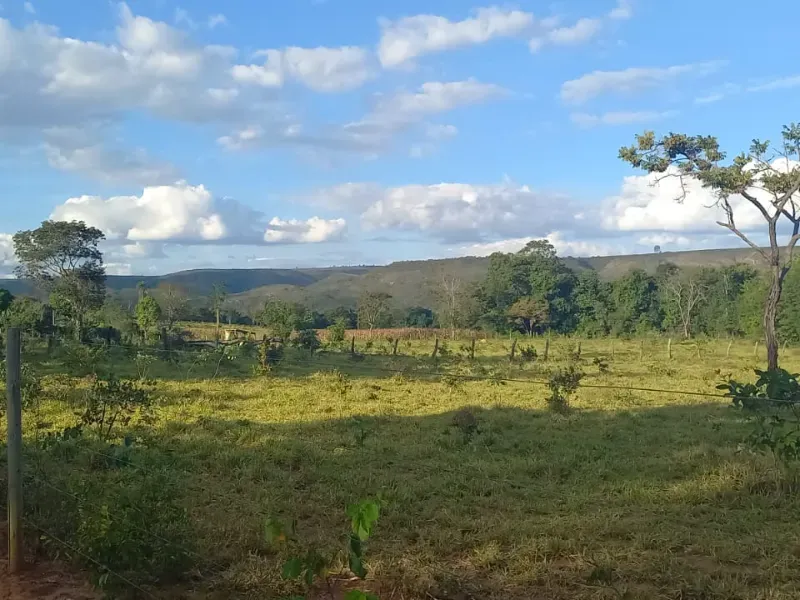 Imóvel rural em Bocaiúva/Minas Gerais — Ref S4IT061