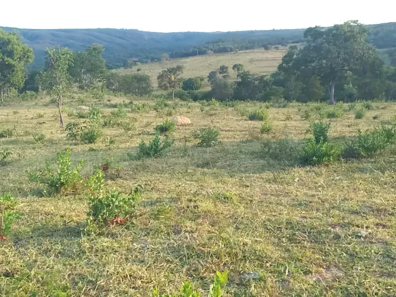 Fazenda em Bocaiúva/Minas Gerais — Ref S4IT06 — Imagem 19