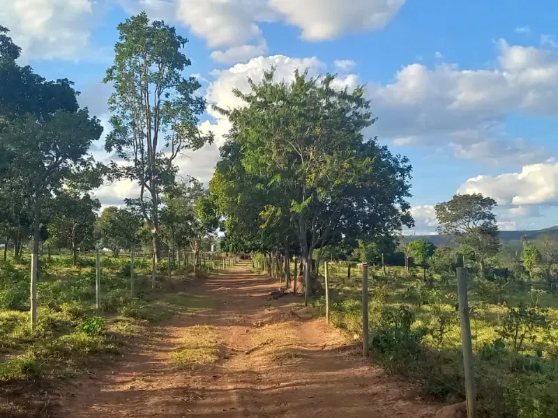 Fazenda em Bocaiúva/Minas Gerais — Ref S4IT06 — Imagem 3