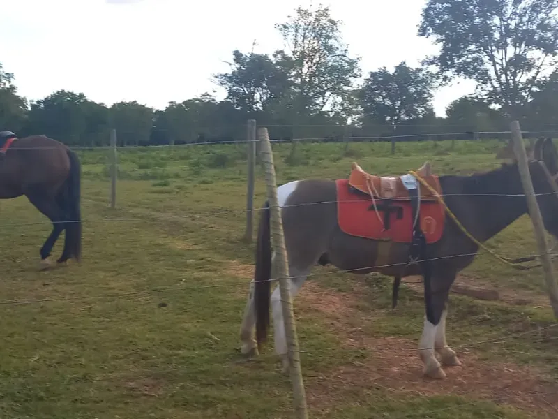 Fazenda em Bocaiúva/Minas Gerais — Ref S4IT06 — Imagem 11