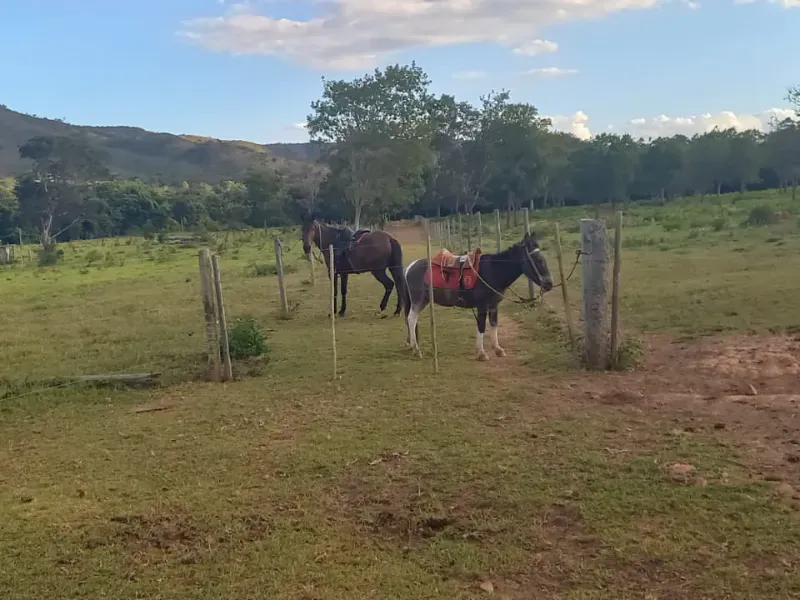 Fazenda em Bocaiúva/Minas Gerais — Ref S4IT06 — Imagem 10